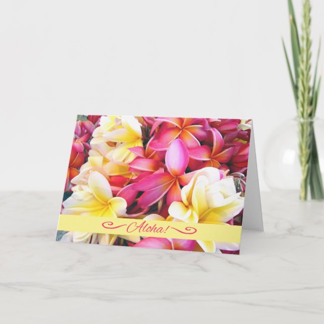 Aloha Hawaiian Hello Tropical Plumeria Flowers Card (Front)