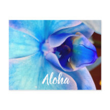 Aloha in Blue