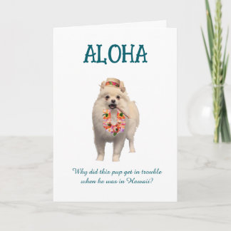 Aloha Joke Card with Pup