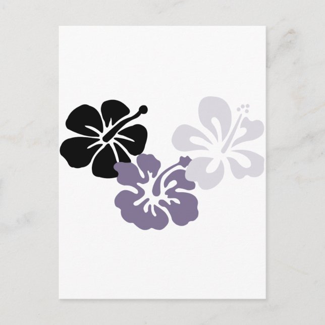 aloha mahalo gray hibiscus postcard (Front)