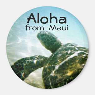 Aloha Maui Sea Turtle Magnet