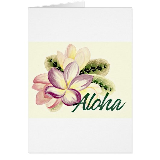 Aloha Plumeria Cards (Front)