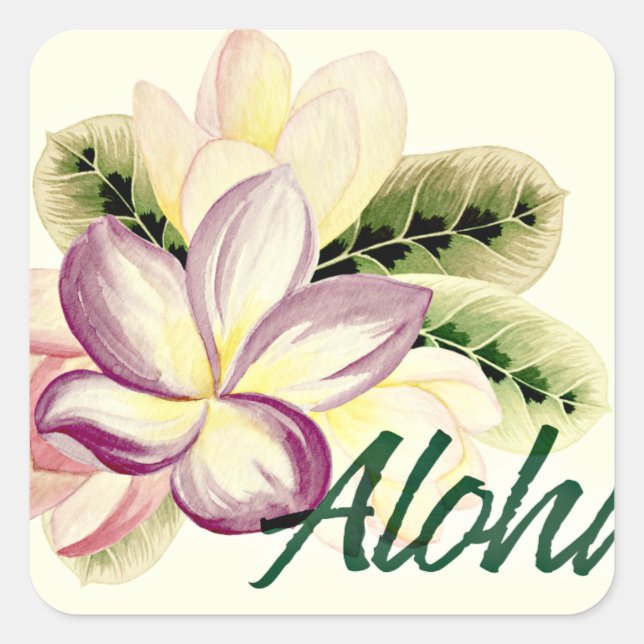 Aloha Plumeria Square Sticker (Front)