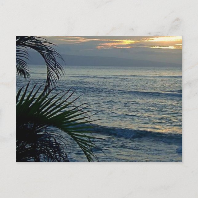 Aloha Postcard (Front)