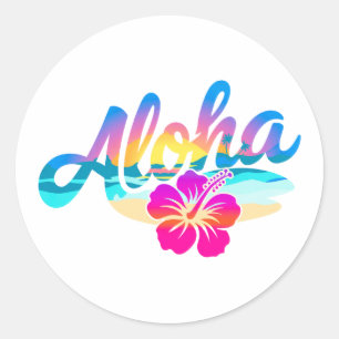 Aloha Summer  Classic Round Sticker