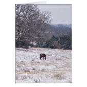 Alone In The Snow (Front)