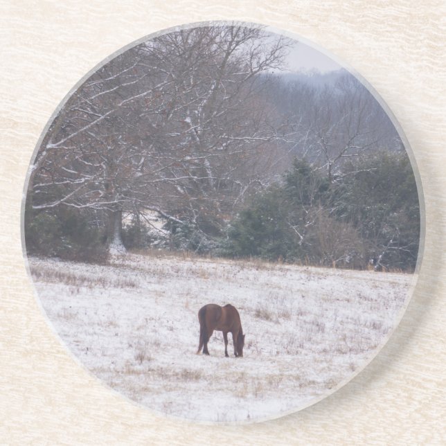 Alone In The Snow Drink Coaster (Front)