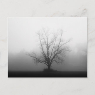 Alone Postcard
