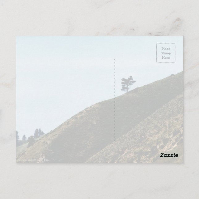 Alone Postcard (Back)