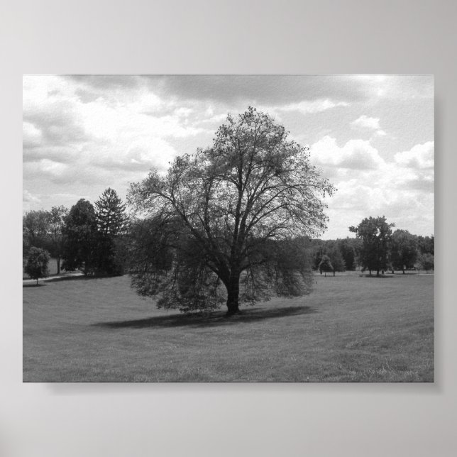 Alone Poster (Front)