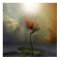 Alone | Surreal Digital Art