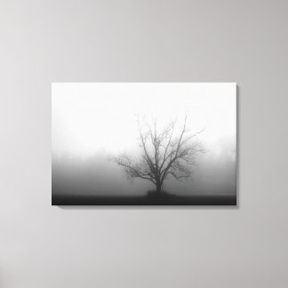 Alone - tree in morning fog Wrapped Canvas Print