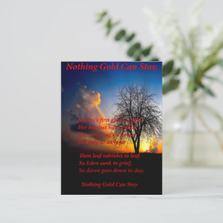 Alone Tree Postcard