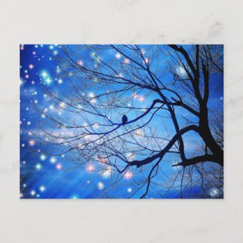 Alone With The Stars Postcard by Zinvolle at Zazzle