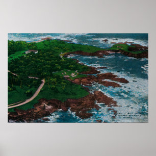 Along 17 Mile Drive on Monterey Peninsula Poster