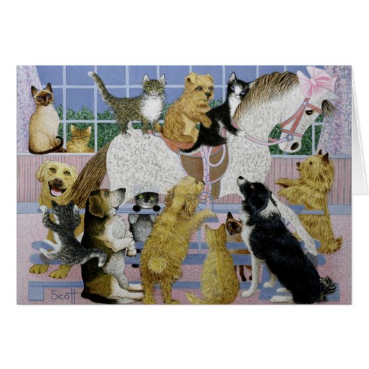 Along for the Ride (Front Horizontal)