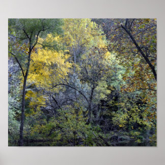 Along the Brandywine River Poster
