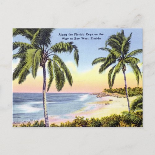 Along the Florida Keys vintage Postcard