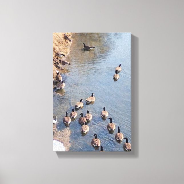 Along the River Canvas Print (Front)