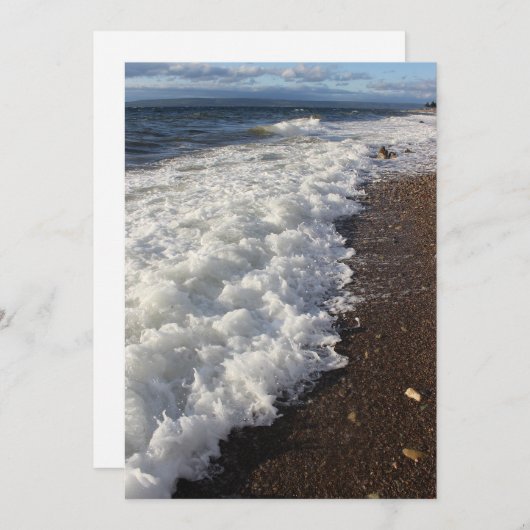 Along the shoreline. (Front/Back)