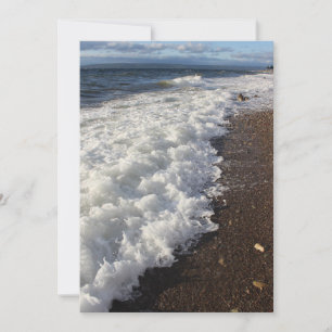 Along the shoreline.