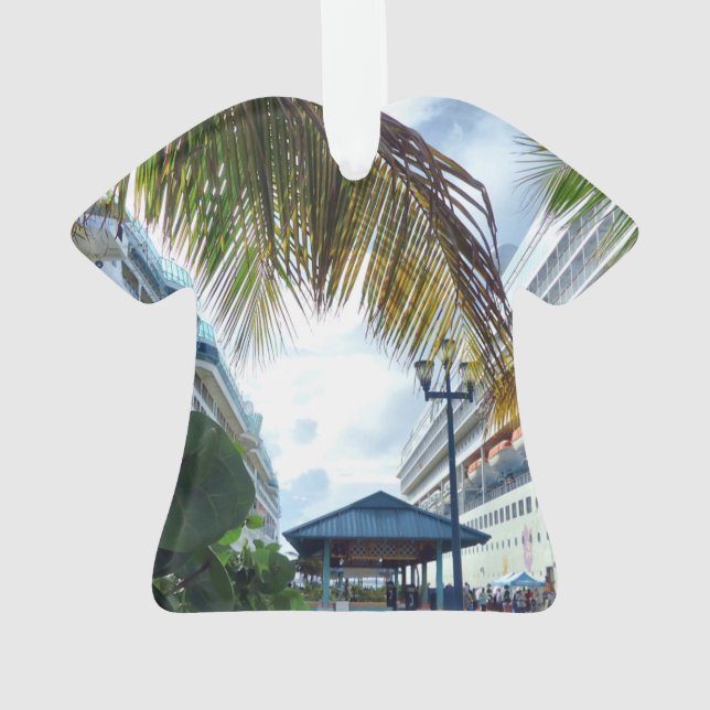 Alongside Ornament (Back)