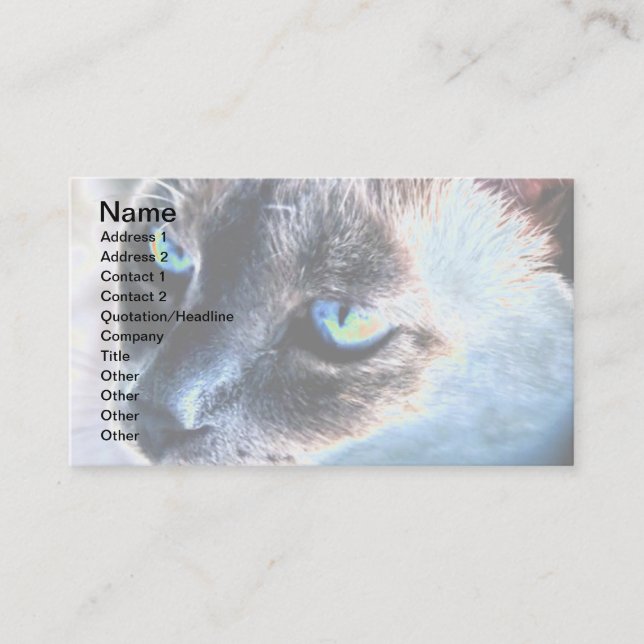 Aloof Siamese Cat Altered Business Card II (Front)