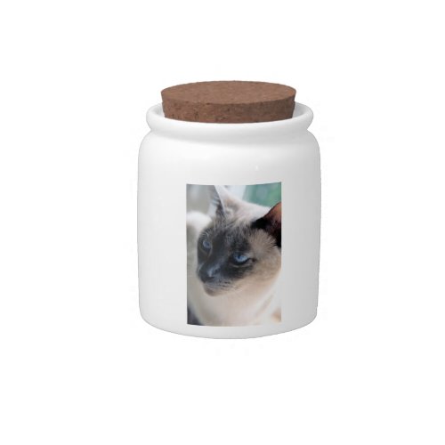 Aloof Siamese Cat Candy Jar