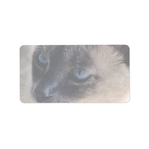 Aloof Siamese Cat II Label