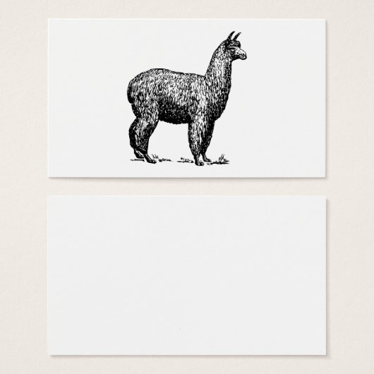 Alpaca (Front & Back)