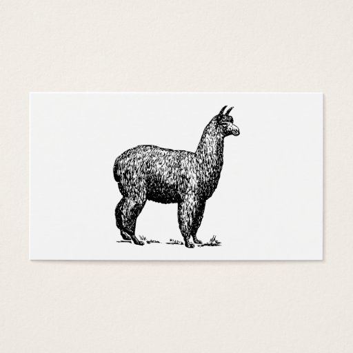Customizable Alpaca Business Card