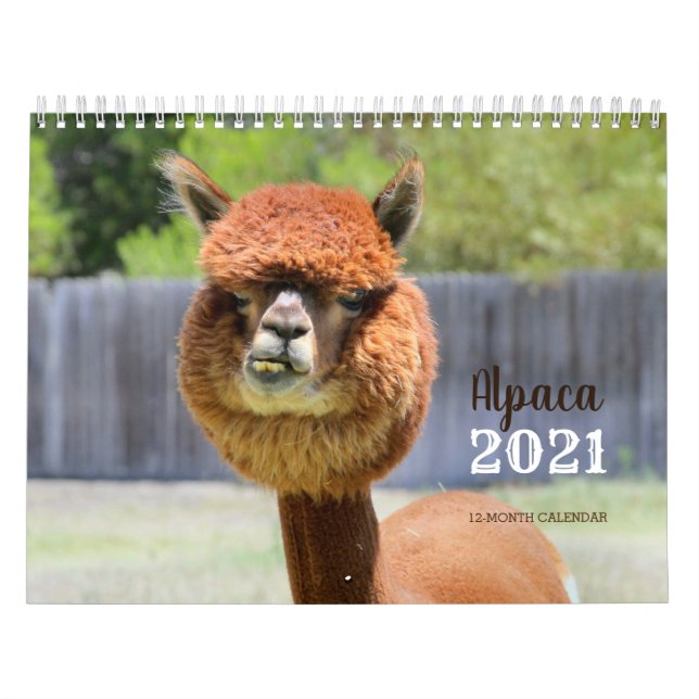 Alpaca 2021 Calendar (Cover)