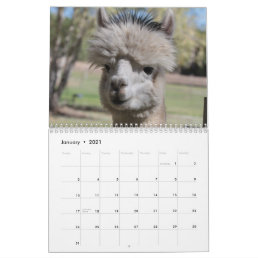 Alpaca 2021 Calendar