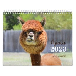 Alpaca 2023 Calendar