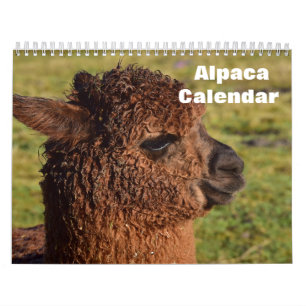 Alpaca 2025 calendar