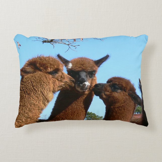 Alpaca Accent Pillow (Front)