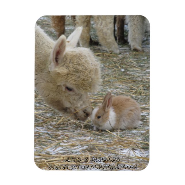 Alpaca and Bunny Kisses! Magnet (Vertical)