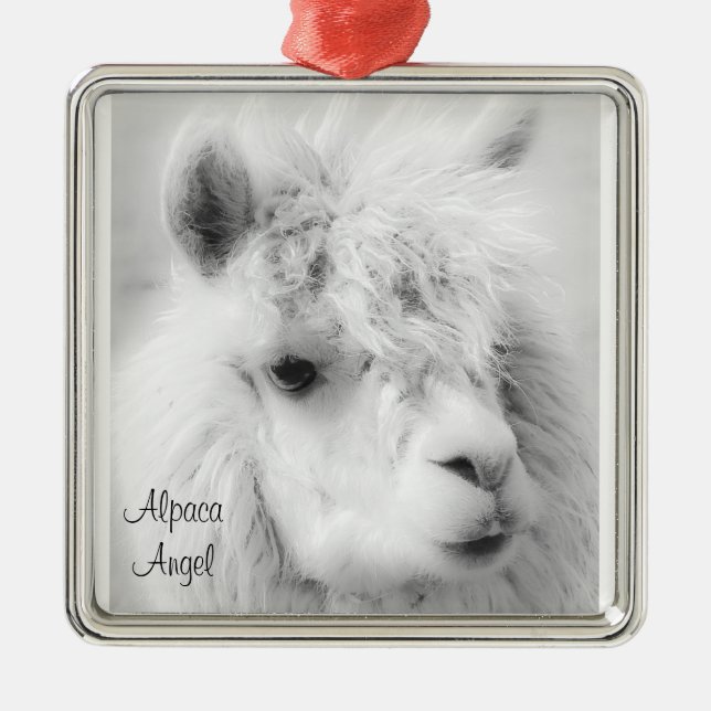 Alpaca Angel White Alpaca Angel Ornament (Front)