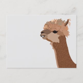 Alpaca Animal Cute
