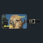 Alpaca Bag Luggage Tag<br><div class="desc">Photo of alpaca while traveling in Peru!</div>