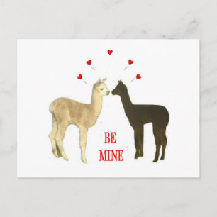 Alpaca be mine Valentine Holiday Postcard