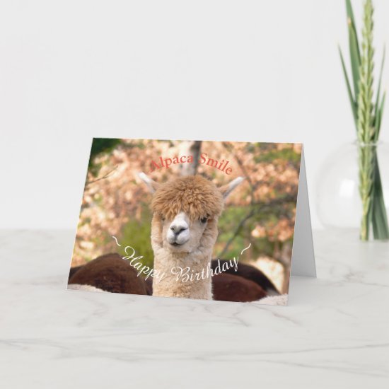 Alpaca Belle Birthday Card