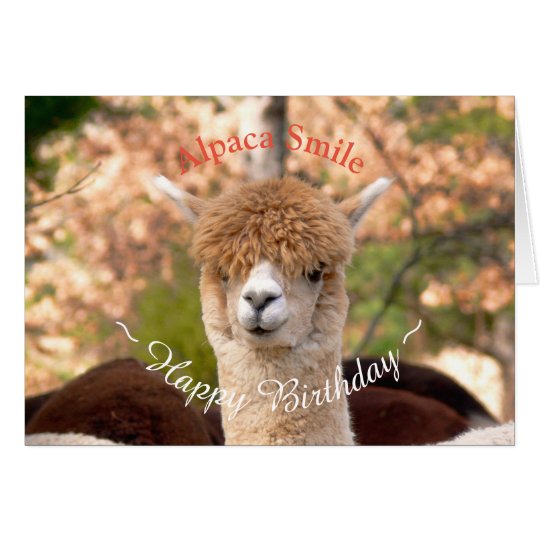 Alpaca Belle Birthday Card | Zazzle.com