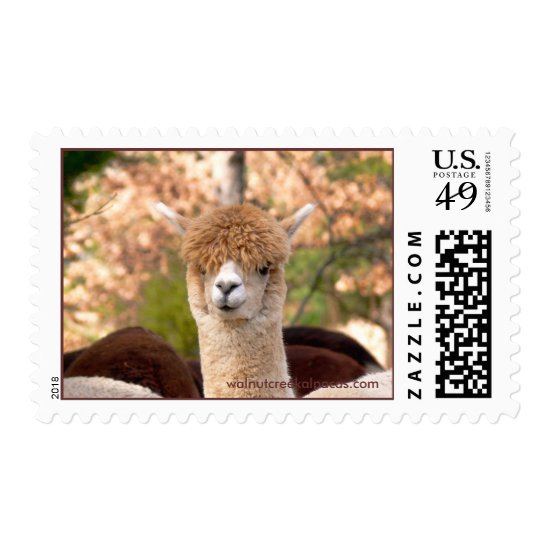 Alpaca Belle Postage Stamps