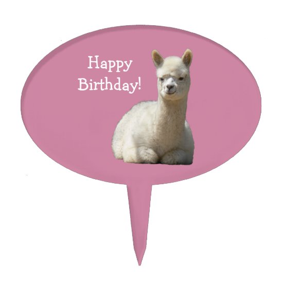 Alpaca Birthday Cakepick