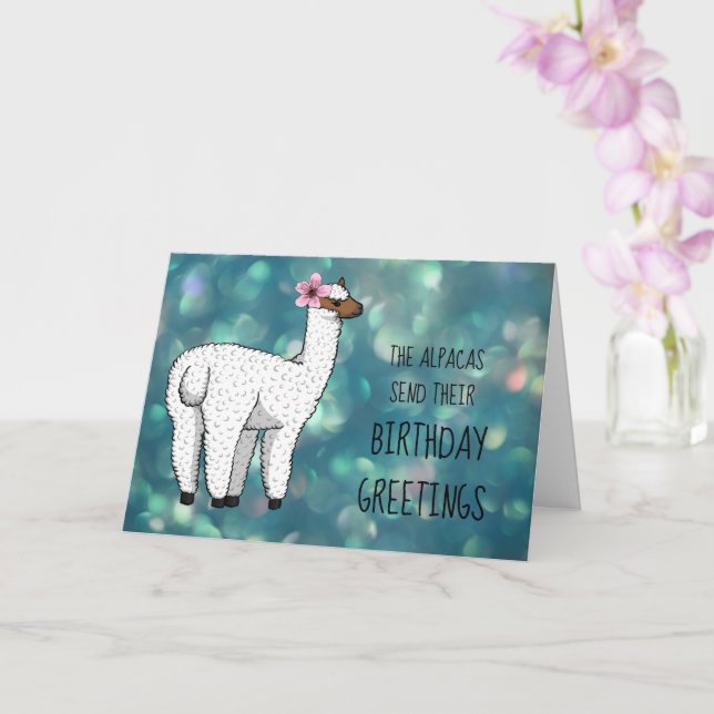 Alpaca Birthday Greetings Card (Orchid)