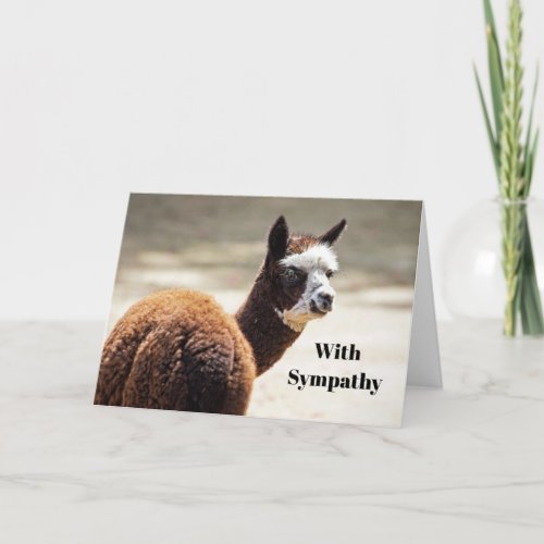 Alpaca Brown and White Animal Photo Sympathy Card