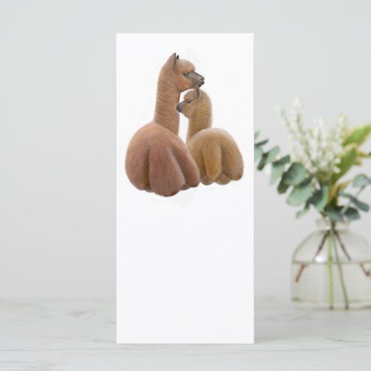 Alpaca Buddies Rack Card (Standing Front)