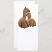 Alpaca Buddies Rack Card (Front/Back)