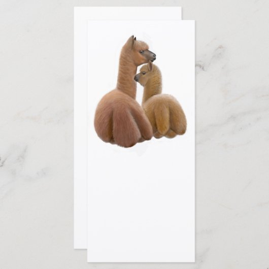 Alpaca Buddies Rack Card (Front/Back)